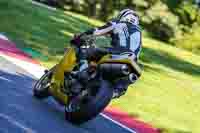 Middle Group Yellow Bikes